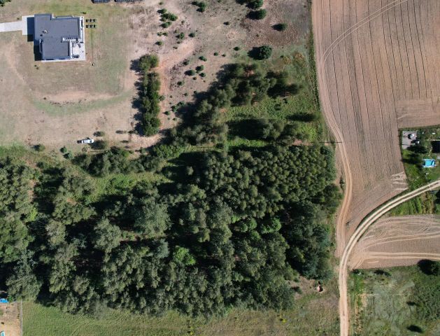 Działka rolno-budowlana Sikory. Zdjęcie 6