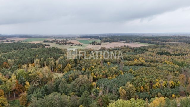 Działka leśna Czachówki. Zdjęcie 1