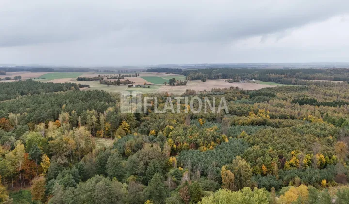 Działka leśna Czachówki