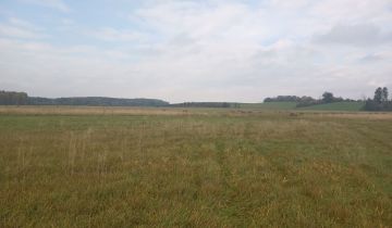 Działka rekreacyjna Kotuń