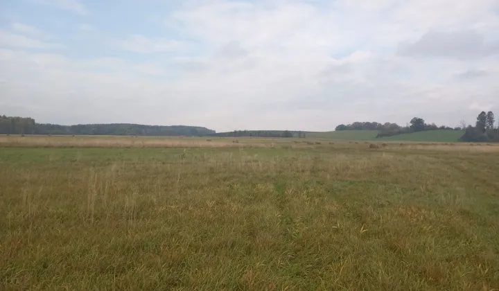 Działka rekreacyjna Kotuń