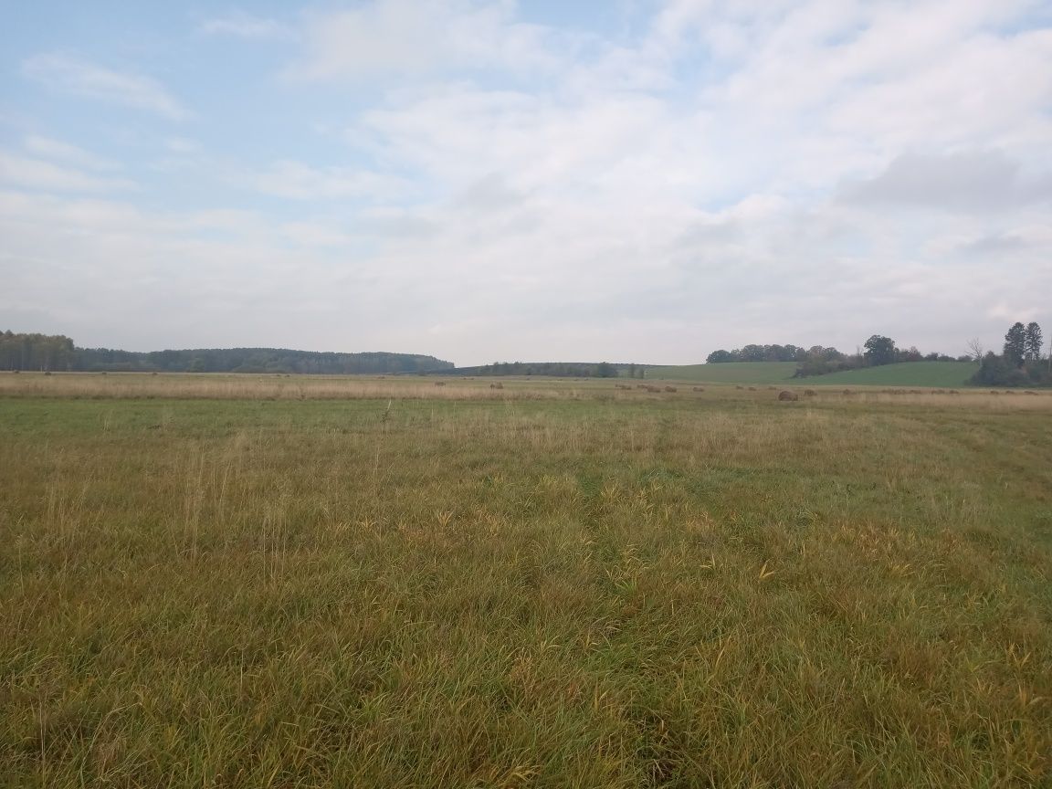 Działka rekreacyjna Kotuń