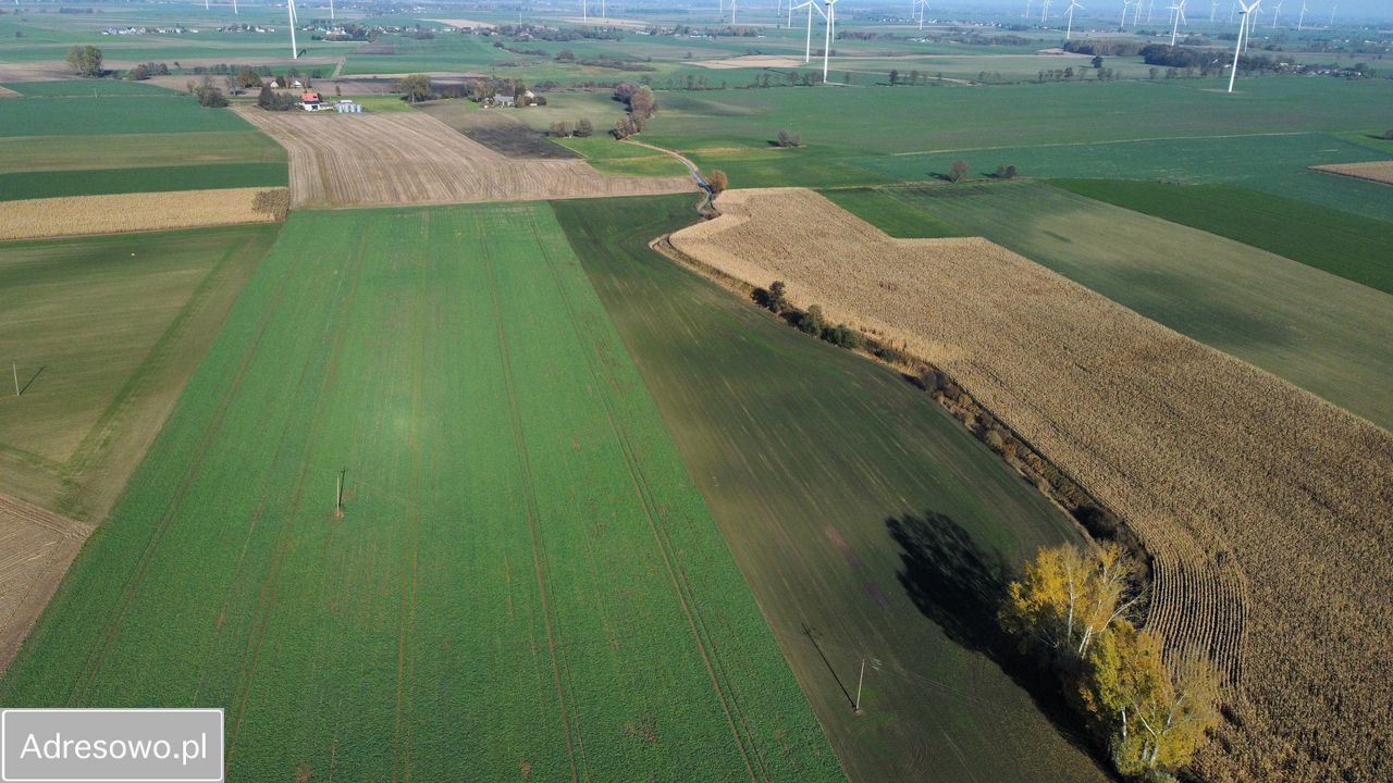 Działka rolna Trzebień