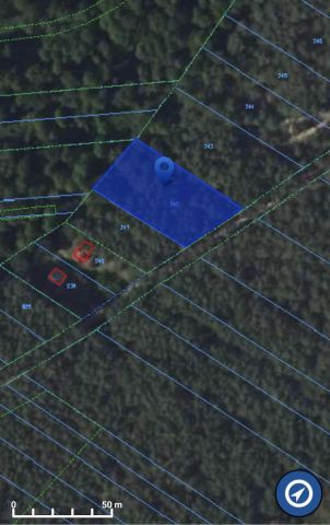 Działka leśna Stawinoga, ul. Zatorska. Zdjęcie 1