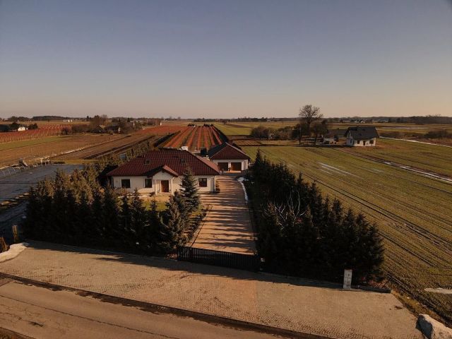 gospodarstwo Kolonia Domaszewnica. Zdjęcie 1