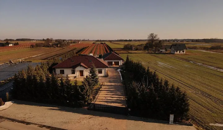 gospodarstwo Kolonia Domaszewnica