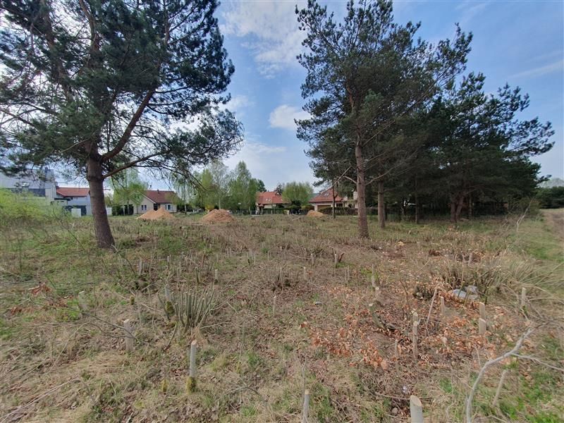 Działka budowlana Gdynia Chwarzno-Wiczlino, ul. Czapli. Zdjęcie 12