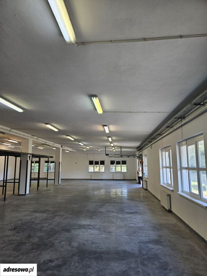 Hala/magazyn Łódź Teofilów, ul. Przemysłowa. Zdjęcie 3