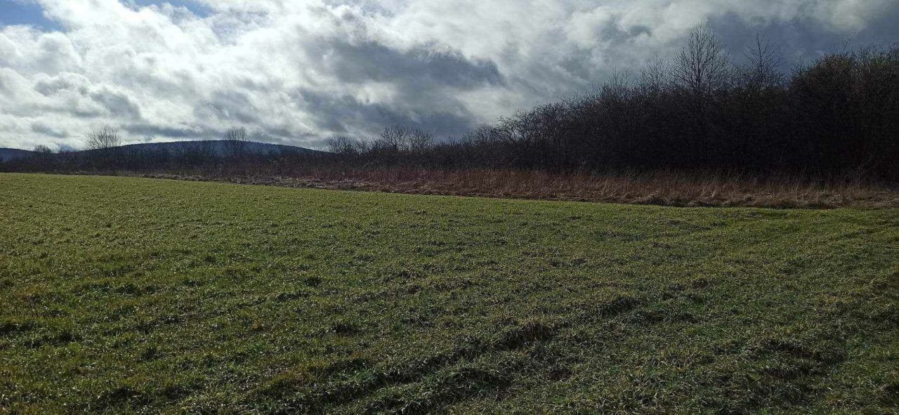 Działka rolna Nowy Skoszyn. Zdjęcie 2