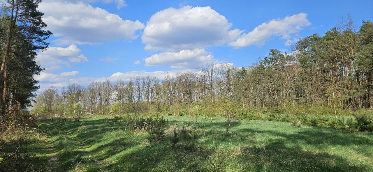 Działka budowlana Brzóza, ul. Długa. Zdjęcie 1