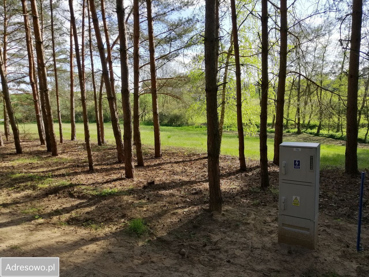 Działka budowlana Chrzypsko Małe. Zdjęcie 4