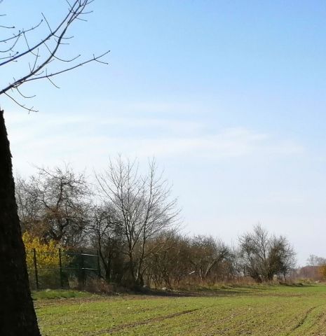 Działka budowlana Łabuń Mały. Zdjęcie 1