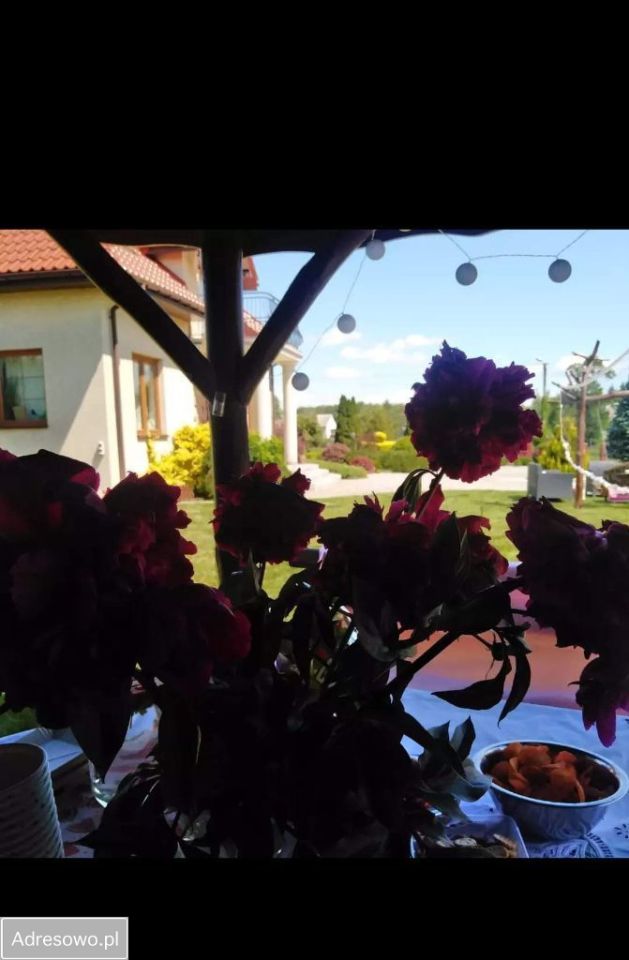 dom wolnostojący, 6 pokoi Niestum, ul. Kasztanowa. Zdjęcie 7