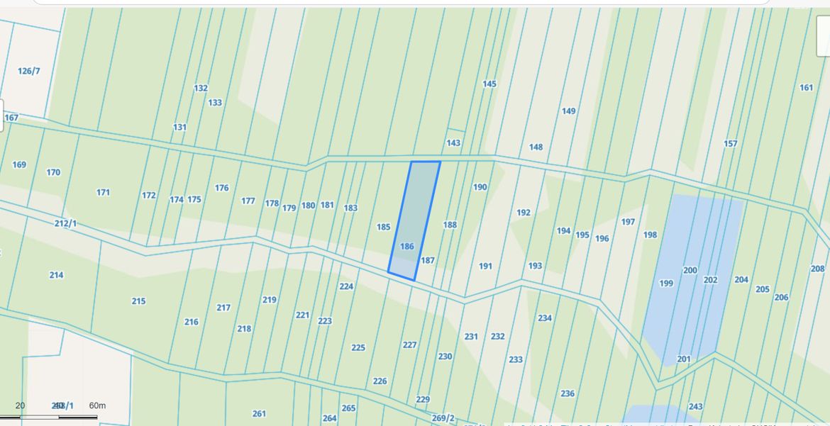 Działka rolna Borków. Zdjęcie 3