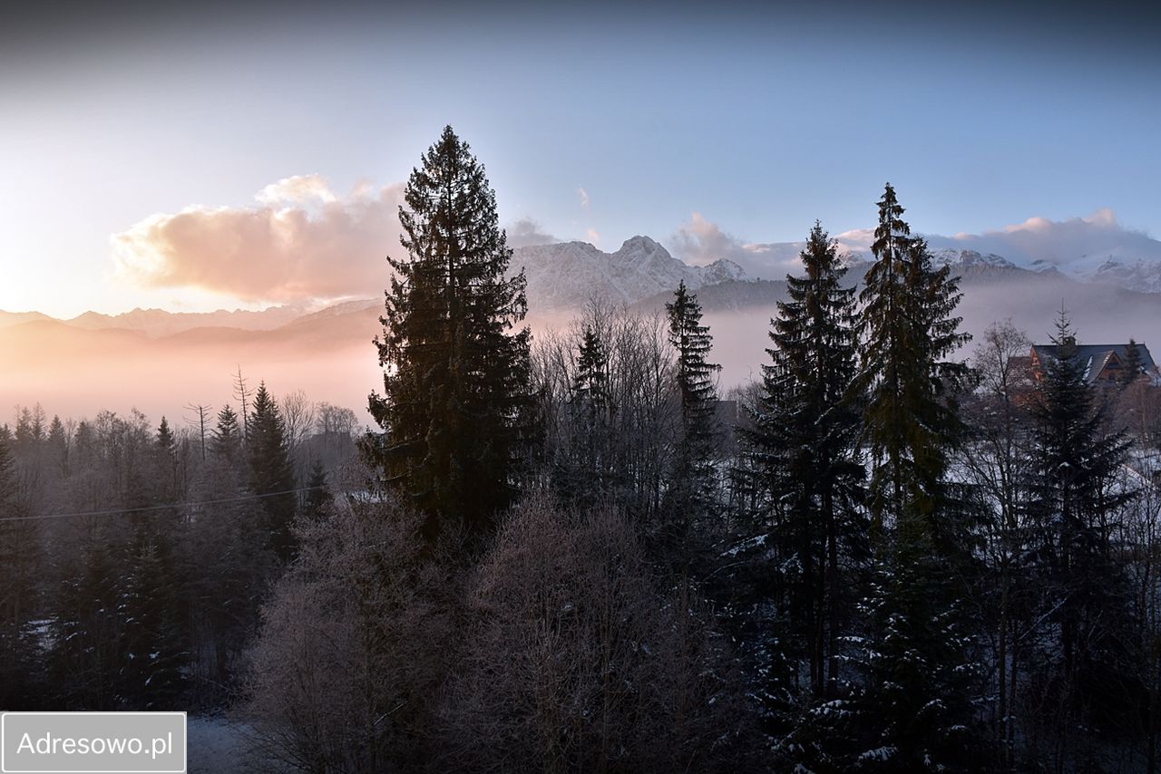 Mieszkanie 1-pokojowe Kościelisko, ul. Nędzy Kubińca. Zdjęcie 2