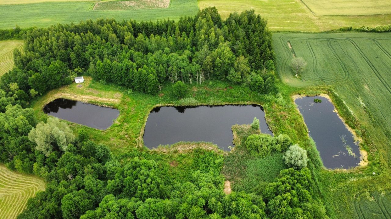 Działka rolno-budowlana Wilnowo. Zdjęcie 6