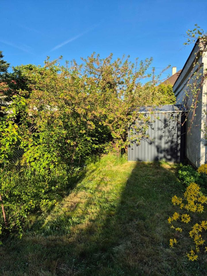 Działka rod Szczecin Pogodno, ul. Adama Mickiewicza. Zdjęcie 3