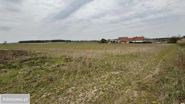 Działka budowlana Górzyn. Zdjęcie 1