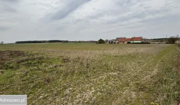 Działka na sprzedaż bez pośredników          
          
            Ziębikowo - Prikaz 6