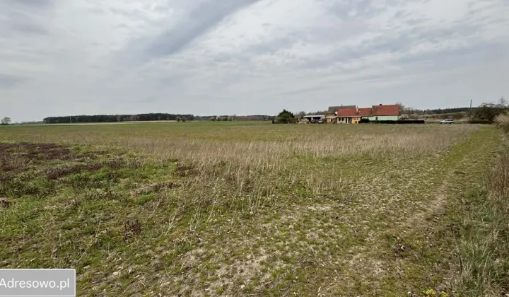 Działka budowlana Górzyn