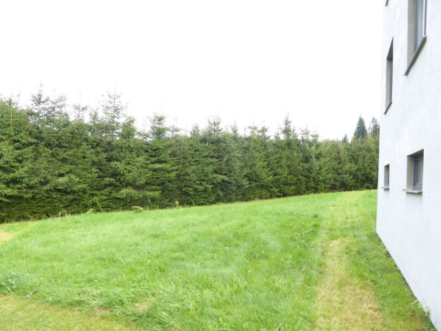 dom wolnostojący, 5 pokoi Duszniki-Zdrój Wapienniki, ul. Sudecka. Zdjęcie 2