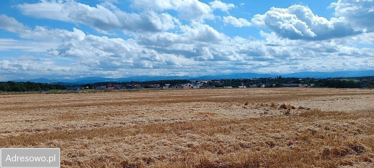 Działka budowlana Jędrzychów, ul. Łabędzia