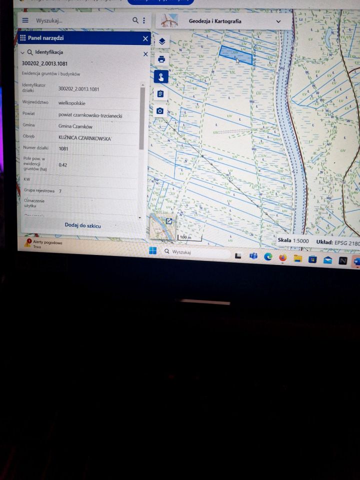 Działka rolna Kuźnica Czarnkowska. Zdjęcie 4