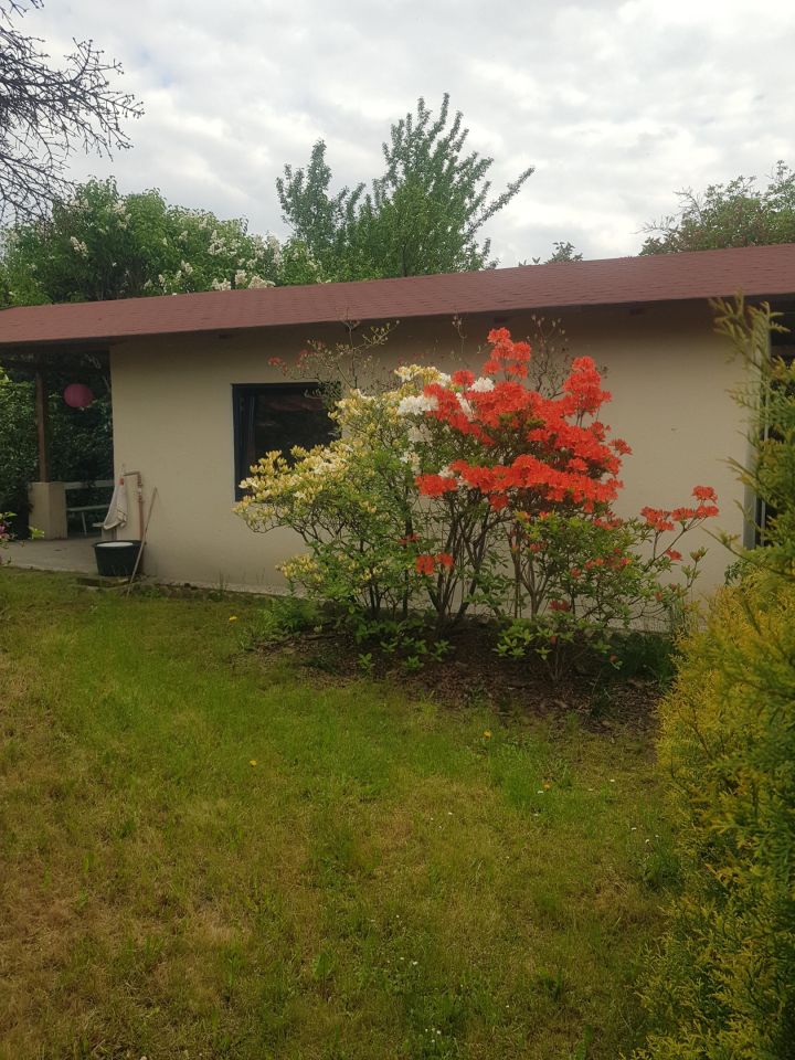 Działka rod Zabrze Biskupice, ul. Ogrodowa. Zdjęcie 3