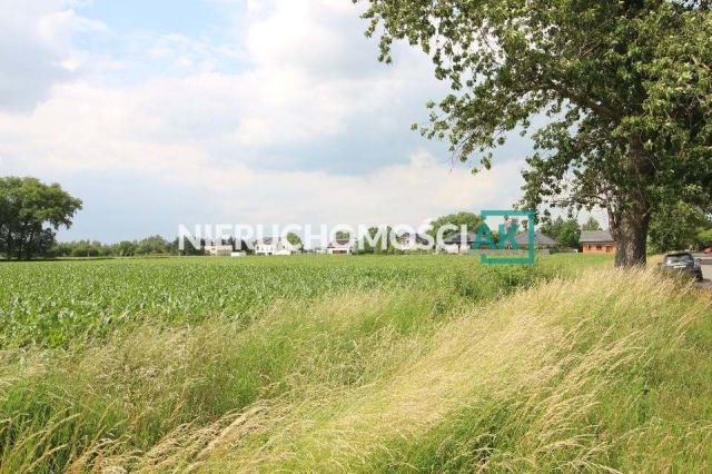 Działka budowlana Tarnowo Podgórne, ul. Marianowska. Zdjęcie 8