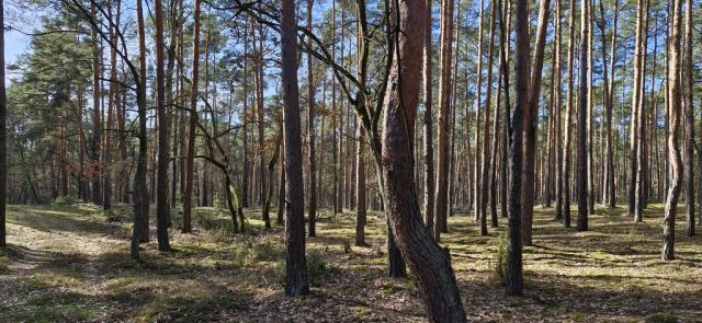 Działka rekreacyjna Osiedle Wilga. Zdjęcie 3