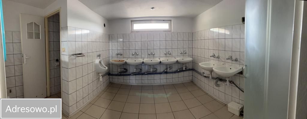 Hala/magazyn Kamienna Góra, ul. Zielona. Zdjęcie 8