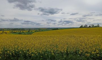 Działka na sprzedaż Udrycze-Wola 