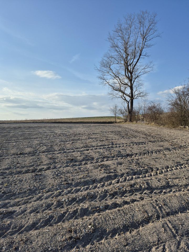 Działka budowlana Zaryszyn. Zdjęcie 13