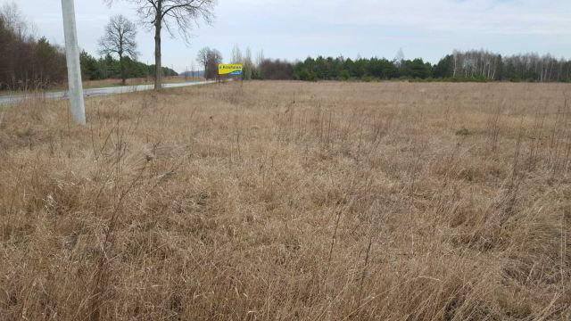 Działka budowlana Bogoria, ul. Staszowska. Zdjęcie 1