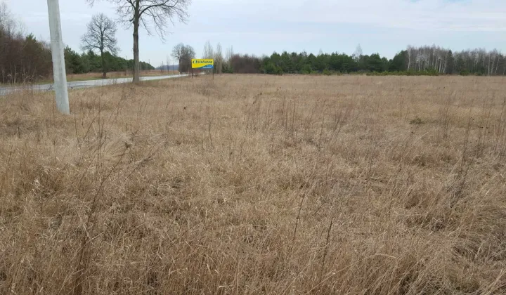 Działka budowlana Bogoria, ul. Staszowska