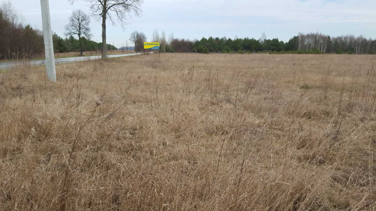 Działka budowlana Bogoria, ul. Staszowska