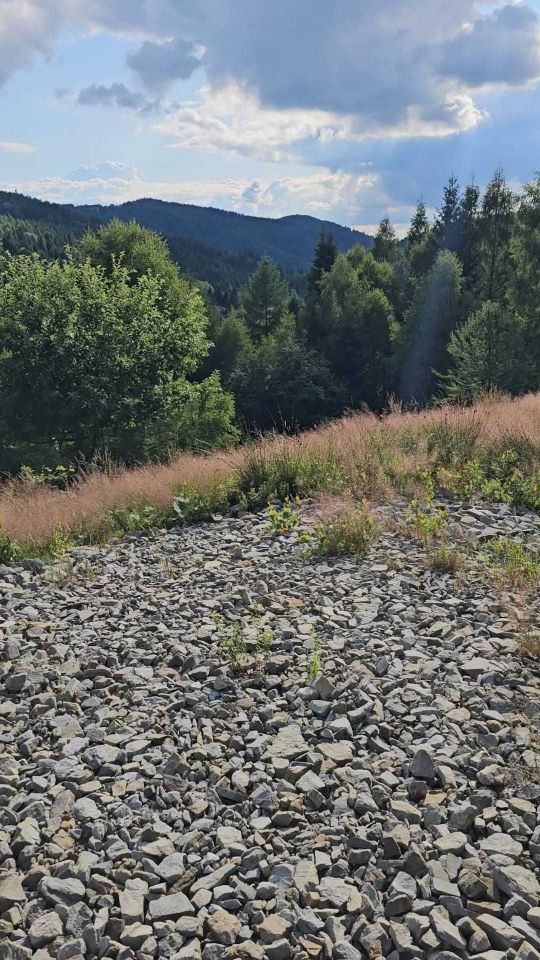 Działka budowlana Kocierz Rychwałdzki. Zdjęcie 5