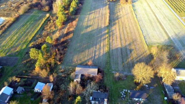 siedlisko Krzywie. Zdjęcie 7