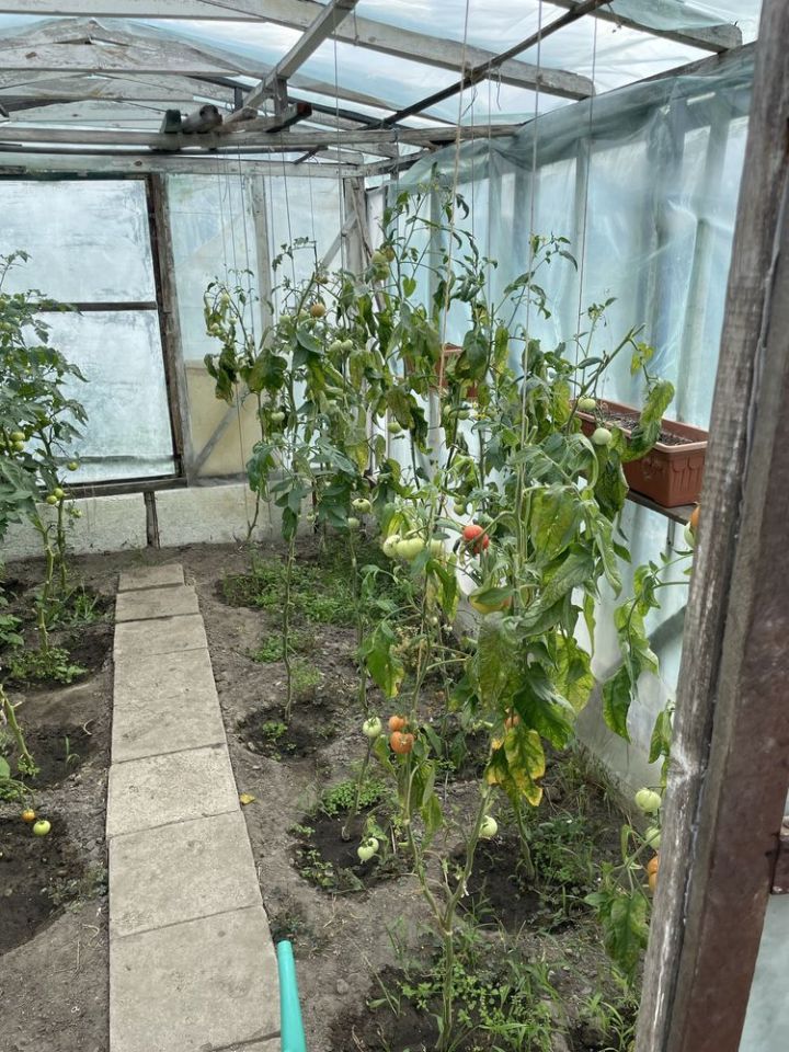 Działka rod Witkowo. Zdjęcie 4