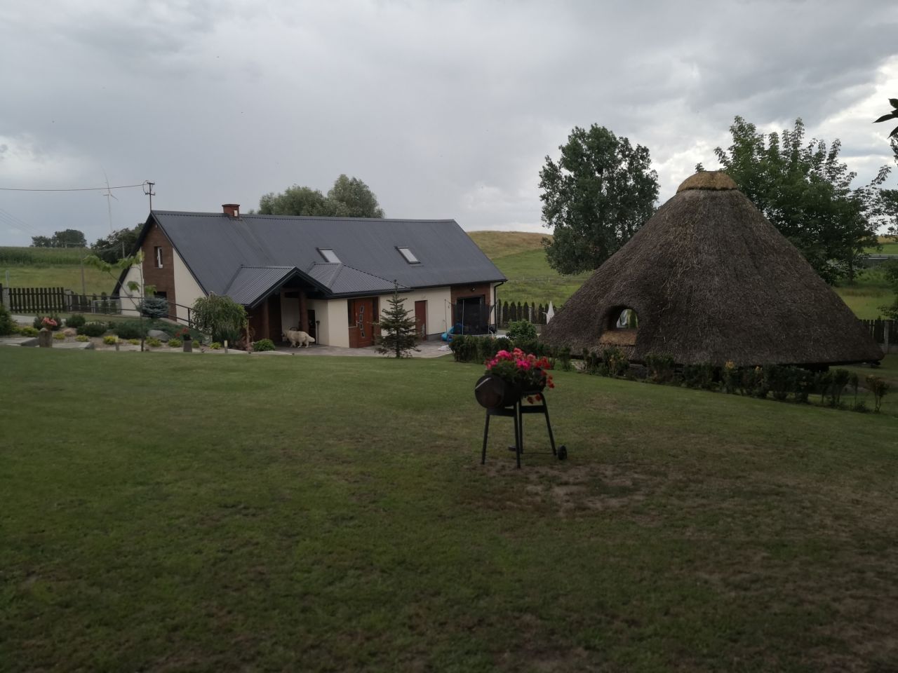 Działka rekreacyjna Bukowo. Zdjęcie 14