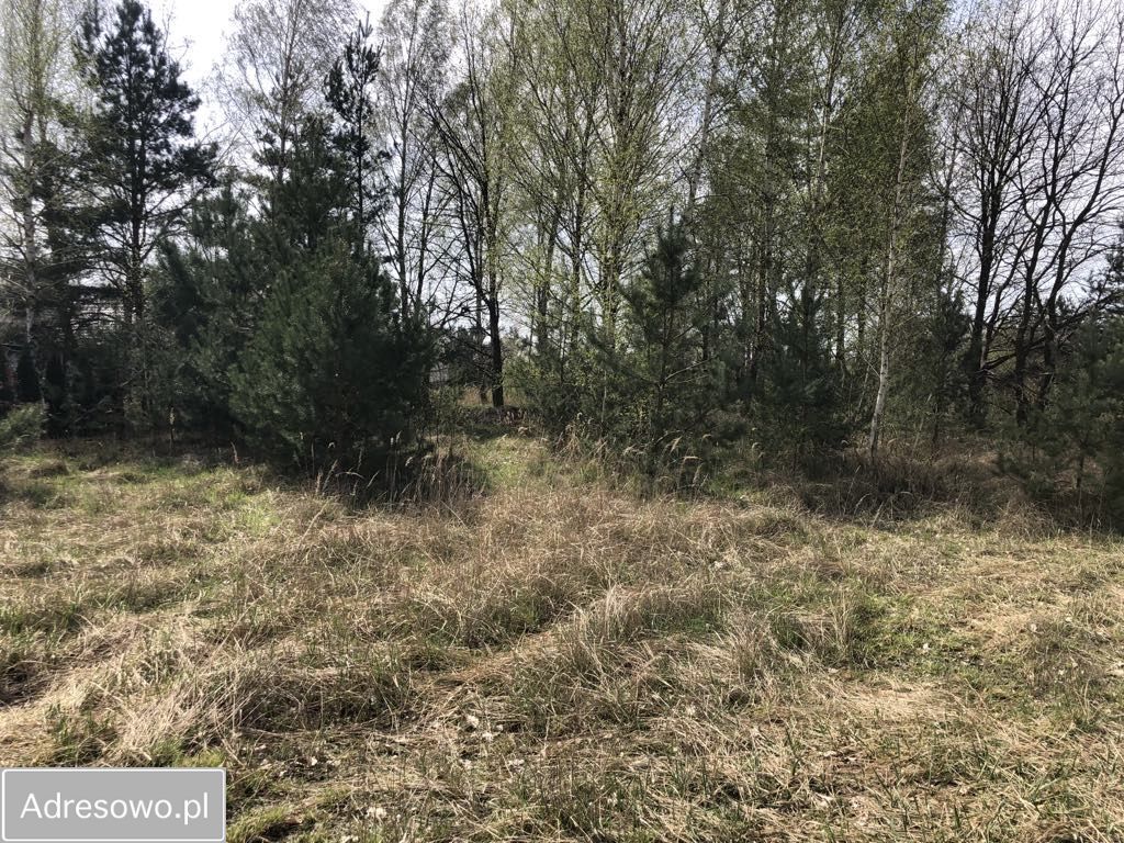 Działka budowlana Grudziądz Owczarki, ul. Morelowa