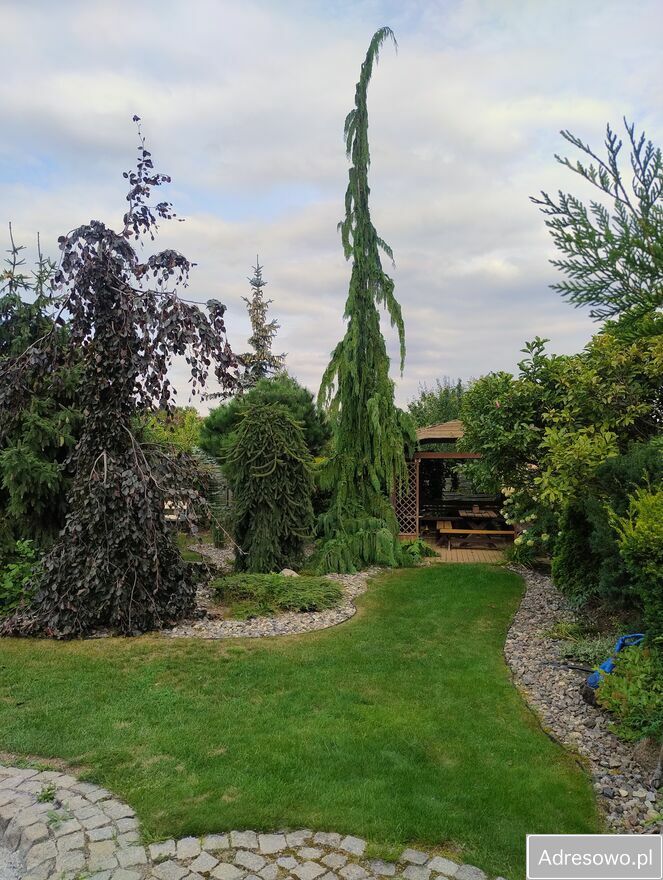 dom wolnostojący, 5 pokoi Ryn, ul. Brzozowa. Zdjęcie 7