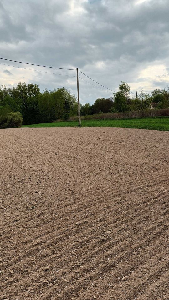 Działka rolna Kazimierz Dolny. Zdjęcie 4