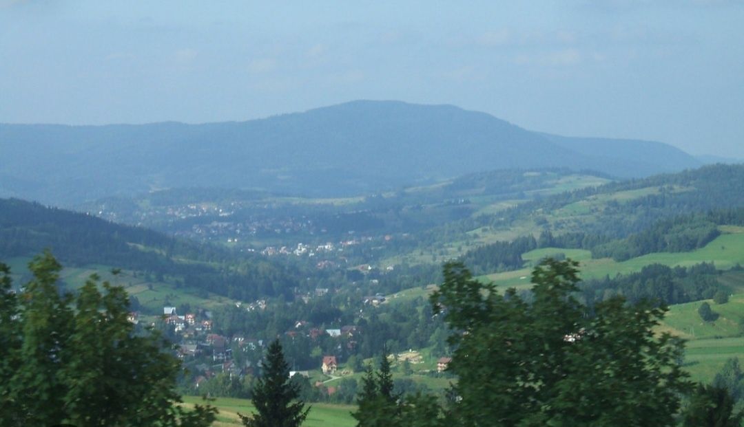Działka siedliskowa Rdzawka. Zdjęcie 2
