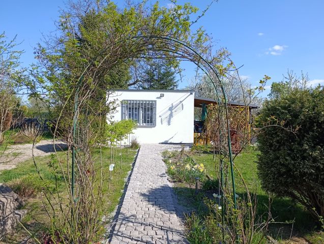 Działka rod Zabrze, ul. Wincentego Witosa. Zdjęcie 1