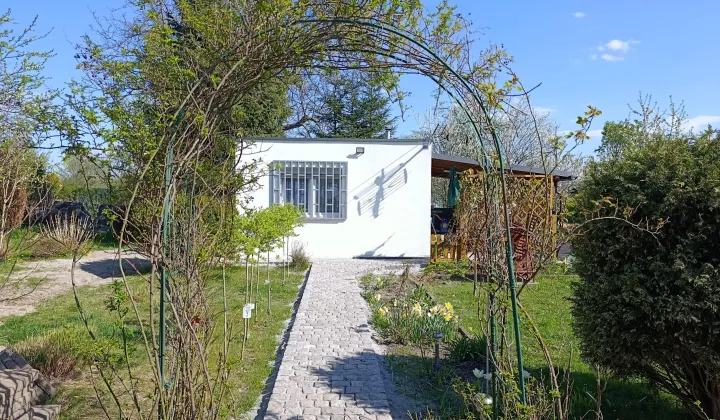 Działka rod Zabrze, ul. Wincentego Witosa