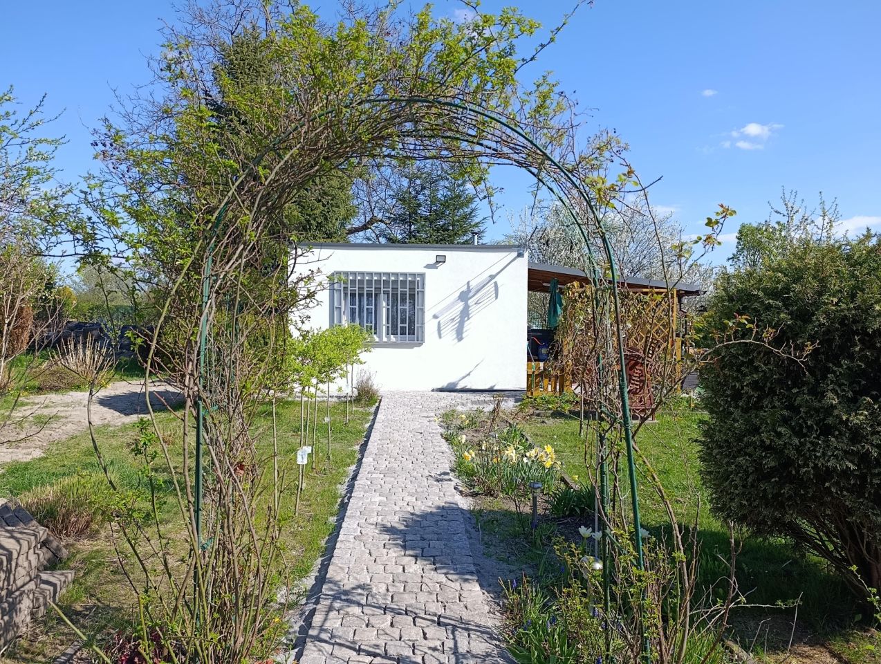 Działka rod Zabrze, ul. Wincentego Witosa. Zdjęcie 1