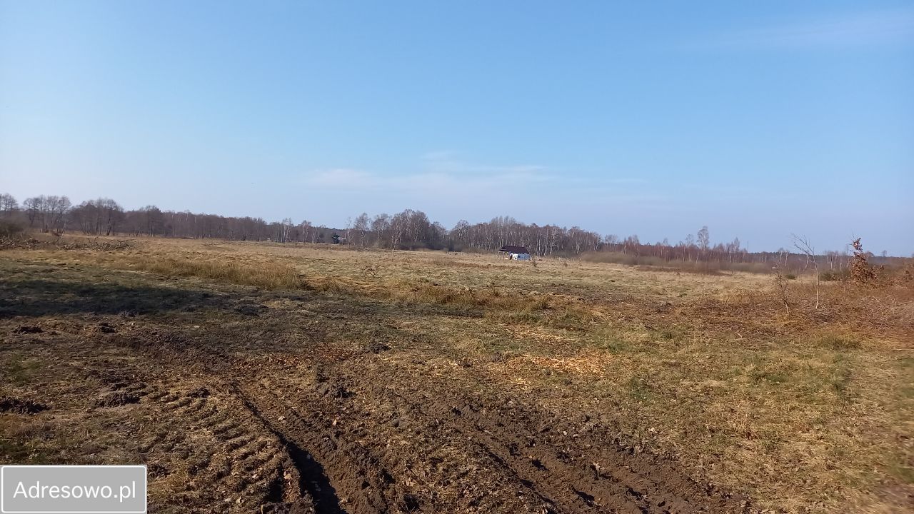 Działka rolna Sasino, ul. Żurawia. Zdjęcie 17