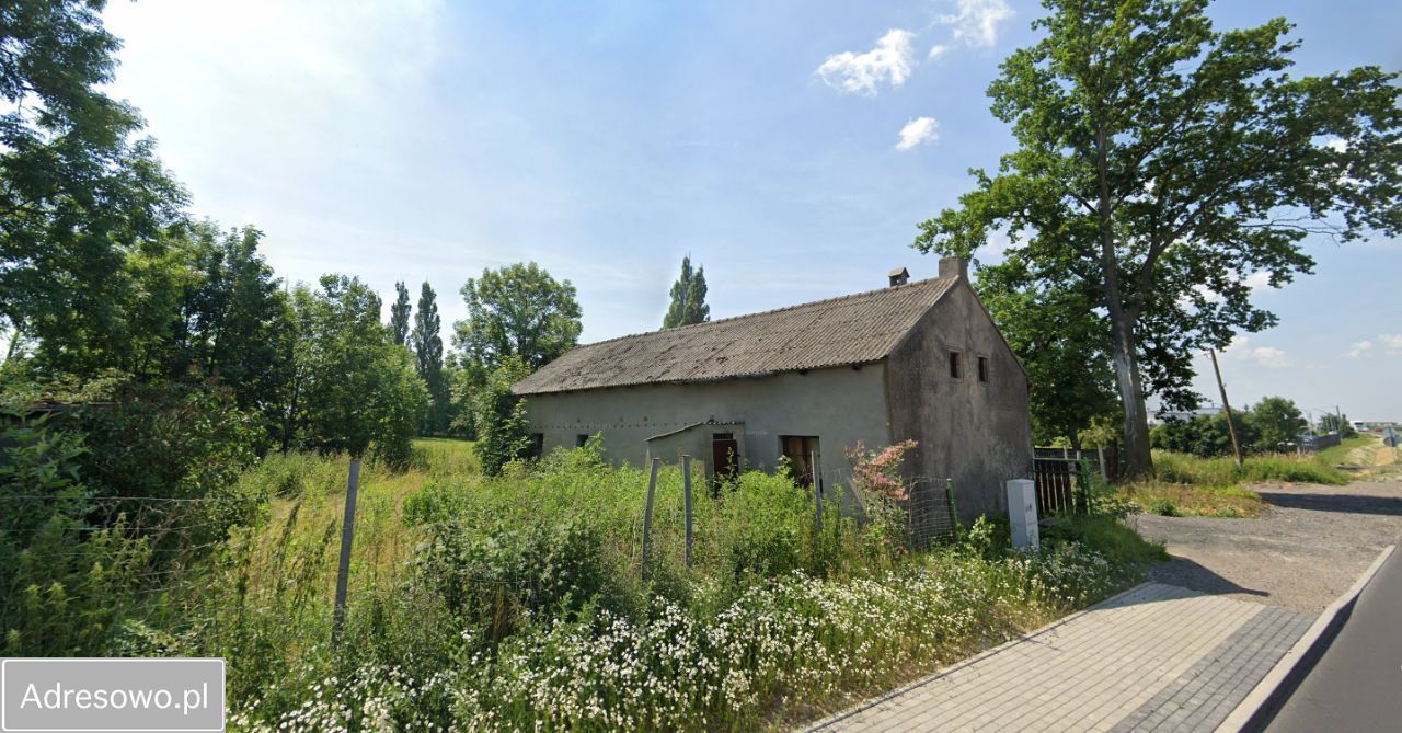 Działka siedliskowa Wiąg. Zdjęcie 1