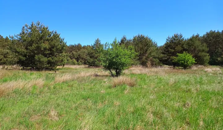 Działka budowlana Smołdzino